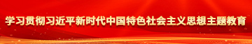 逼逼精品屋学习贯彻习近平新时代中国特色社会主义思想主题教育